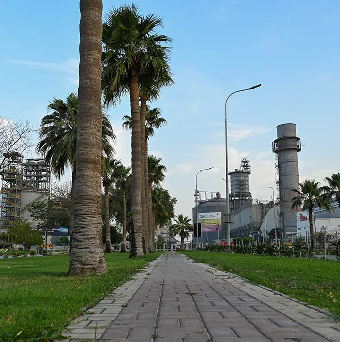 Visit the Governance Page