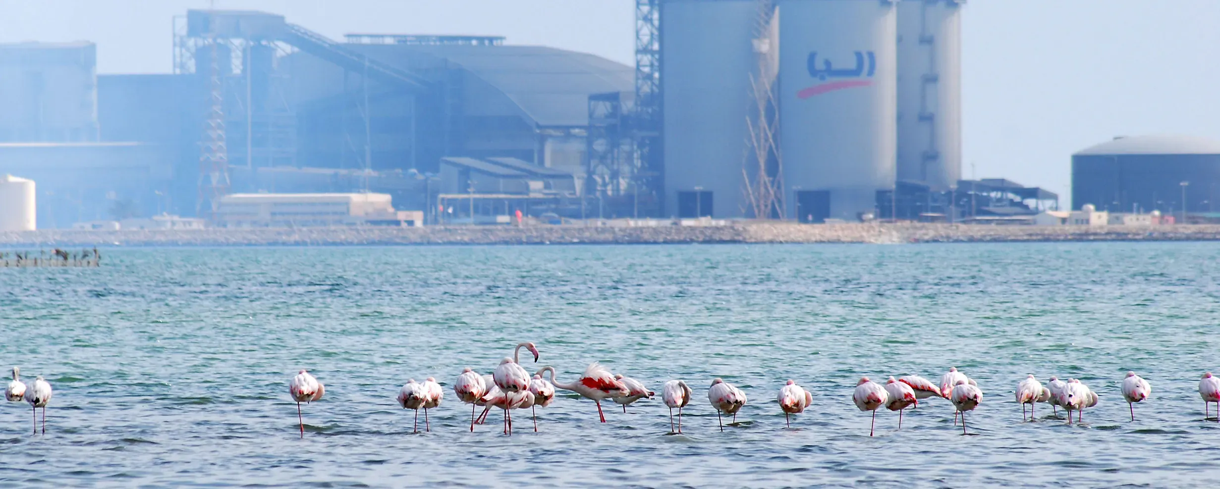 Water & Wastewater Management 2024