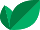 coco leaves