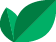 coco leaves